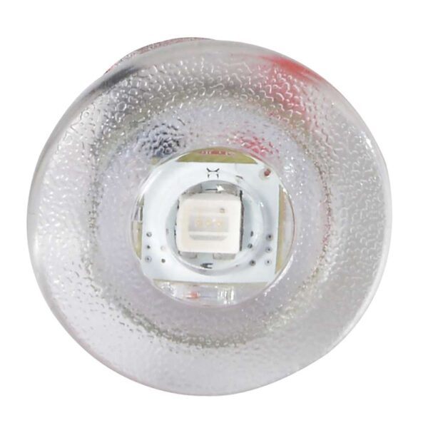 Lumitec Newt - Livewell & Courtesy Light - Red Dimming - Image 3