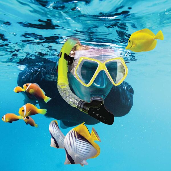 Aqua Leisure Dyna Adult 5-Piece Dive Set - Adult Size M-L Men's 4.5-8.5-Ladies 5.5-9.5 - Image 2