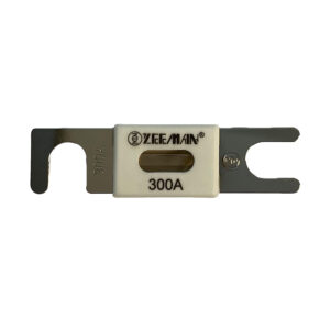 Victron ANL-Fuse 300A-80V f-48V Products (Package of 1)
