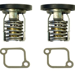 THERMOSTAT KIT