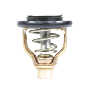 THERMOSTAT KIT