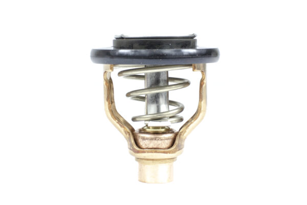 THERMOSTAT KIT