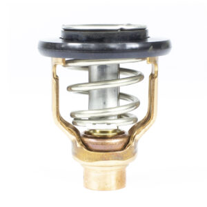 THERMOSTAT KIT
