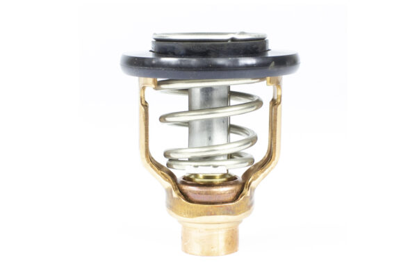 THERMOSTAT KIT