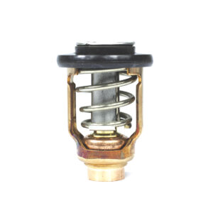 THERMOSTAT KIT