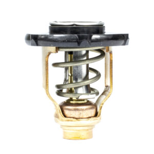 THERMOSTAT KIT
