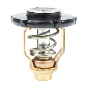 THERMOSTAT KIT