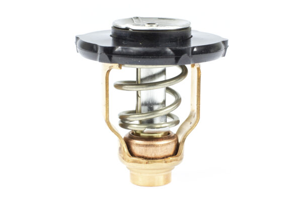 THERMOSTAT KIT