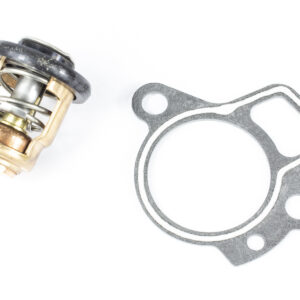 THERMOSTAT KIT