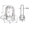 Wichard Captive Pin D Shackle - Diameter 5mm - 3-16" - Image 2