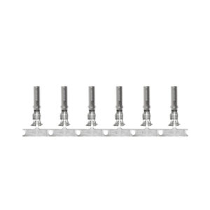 Pacer DTP Deutsch Socket f-10 AWG Wire - Size 12 Contact (25 Pack)
