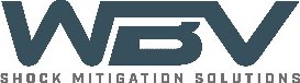 SHOCK-WBV